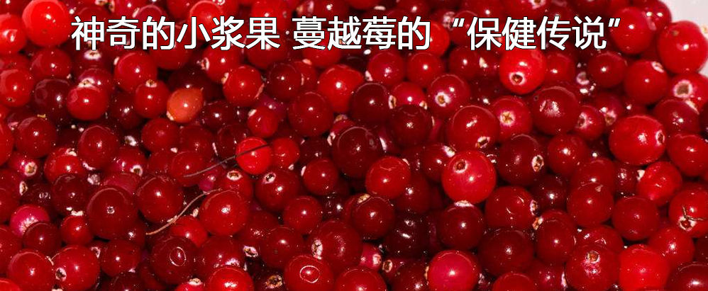 神奇的小浆果 蔓越莓的“保健传说”