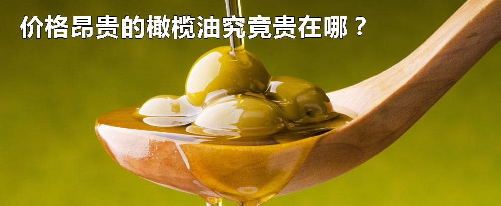 露露大白话-橄榄油究竟贵在哪里？