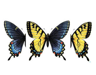 安能辨我是雌雄？