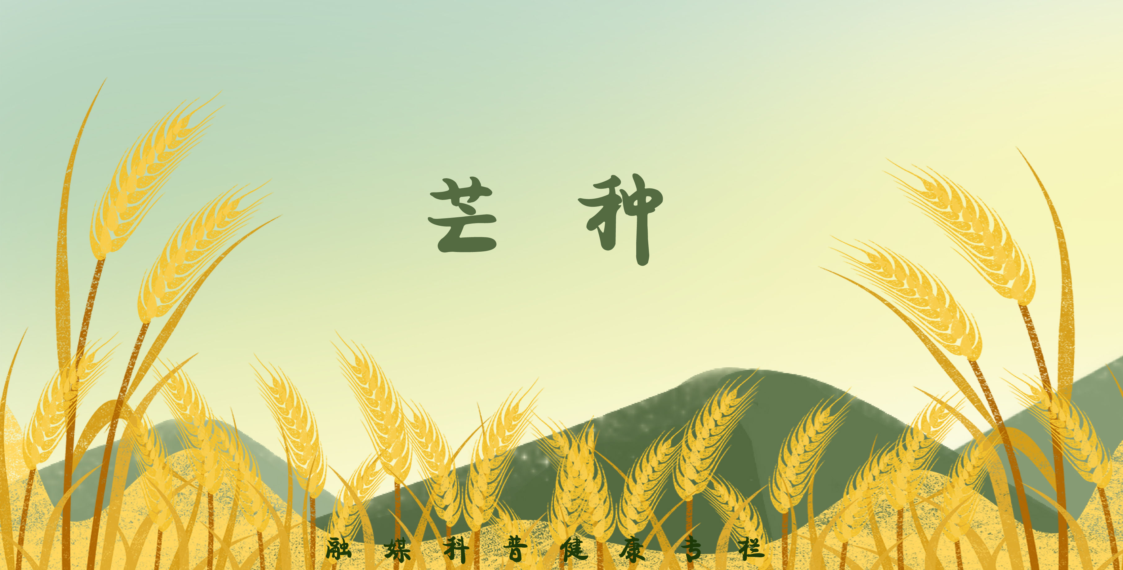 节气健康说05-小满做好这几件事不怕荨麻疹来捣乱